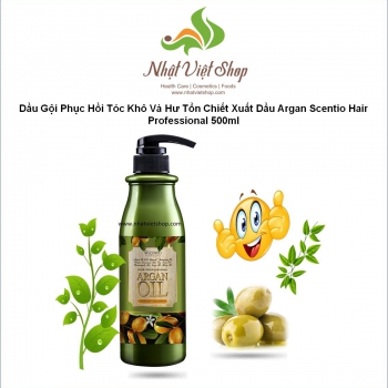 Dầu Gội Phục Hồi Tóc Khô Và Hư Tổn Chiết Xuất Dầu Argan Scentio Hair Professional 500ml